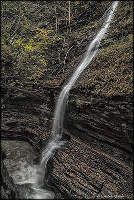Wall Art - Photograph - Watkins Glen by Erika Fawcett