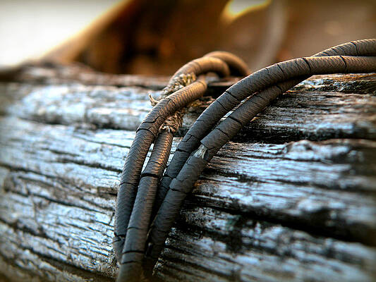 Wall Art - Photograph - Weathered and Worn by Micki Findlay
