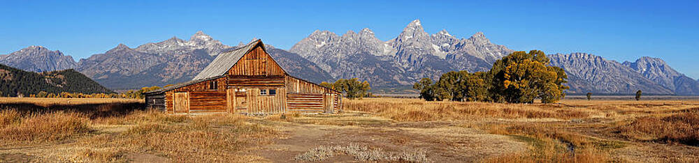 Wall Art - Photograph - Weathered to Perfection by Leda Robertson