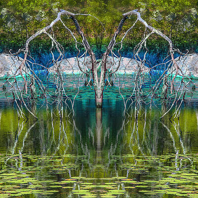 Weeping by David Phoenix