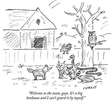 Wall Art - Drawing - Welcome To The Team Guys by David Sipress
