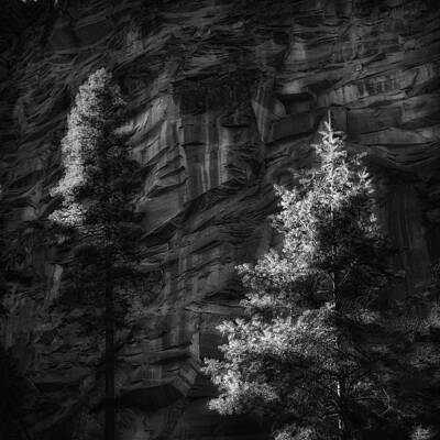 Wall Art - Photograph - West Fork Rock Face Number Three Black and White by Bob Coates