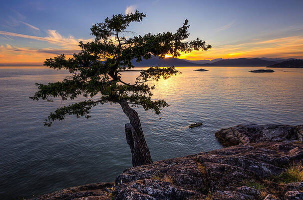 Wall Art - Photograph - West from Juniper Point by Alexis Birkill