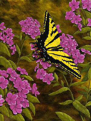 Western Tiger Swallowtail and Evening Phlox by Rick Bainbridge Western Tiger Swallowtail and Evening Phlox by Rick Bainbridge