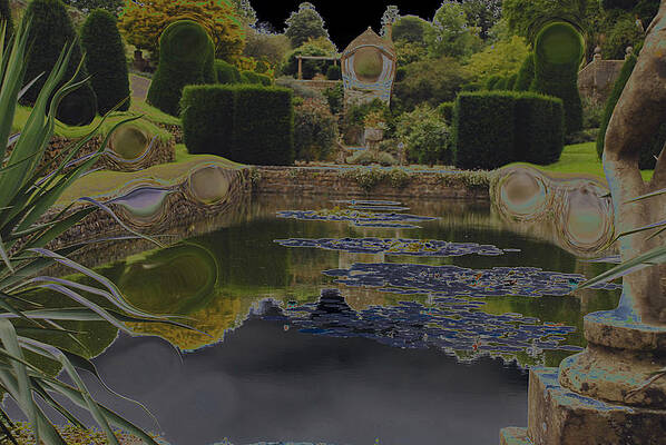  Photograph - What does one See by Dave Byrne