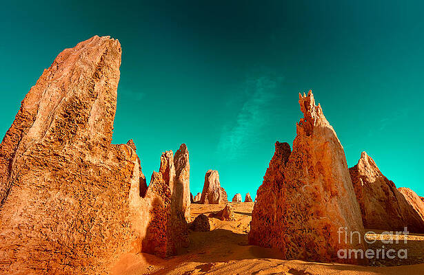 Wall Art - Photograph - What Doesnt Kill You Makes You Stronger by Julian Cook