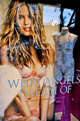 What Men Dream Of by Allen Carroll What Men Dream Of by Allen Carroll