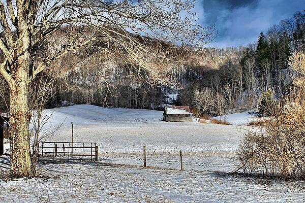 What More Could You Ask For by Carol Montoya