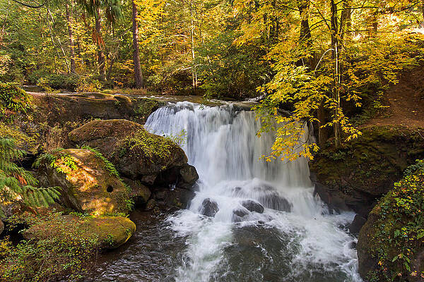 Wall Art - Photograph - Whatcom Falls by Michael Russell
