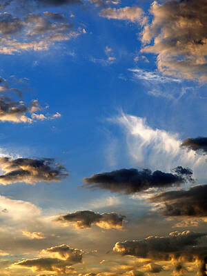 Wall Art - Photograph - When It Rains in L. A. by Joe Schofield