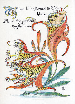 Wall Art - Drawing - When Lilies, Turned To Tigers, Blaze by Mary Evans Picture Library