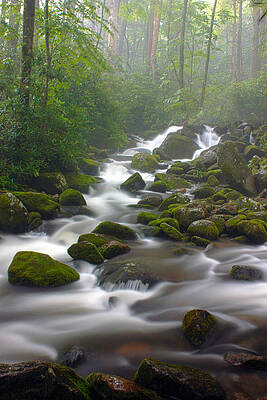 Where the River Flows by Nunweiler Photography Where the River Flows by Nunweiler Photography