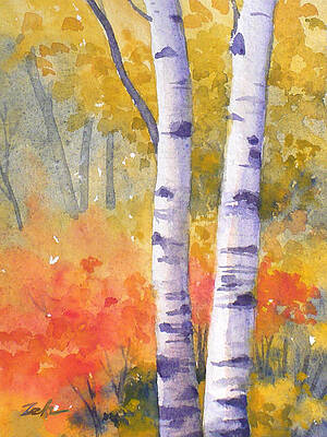 Wall Art - Painting - White Birches in Autumn by Janet Zeh