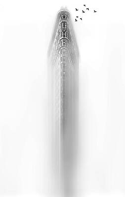 Wall Art - Photograph - White by Carmine Chiriac?