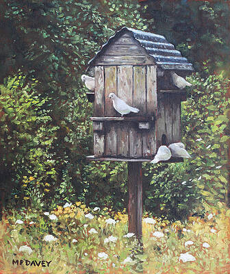 Wall Art - Painting - White Doves using a Dovecote  by Martin Davey