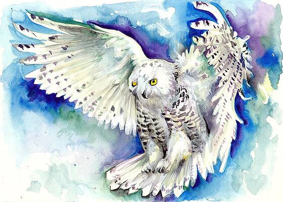 White Polar Owl Canvas Print by Tiberiu Soos White Polar Owl Canvas Print by Tiberiu Soos