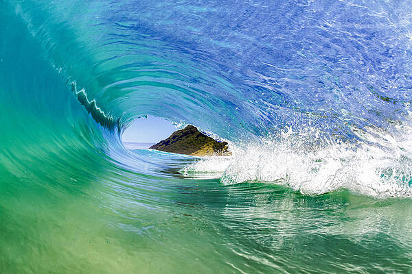Wide Open by Gregg Daniels Wide Open by Gregg Daniels