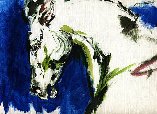 wild horse by ANG EL wild horse by ANG EL