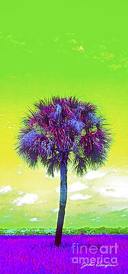 Wild Palm 3 by John Douglas Wild Palm 3 by John Douglas