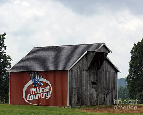 Wildcat Country Barn by Roger Potts Wildcat Country Barn by Roger Potts