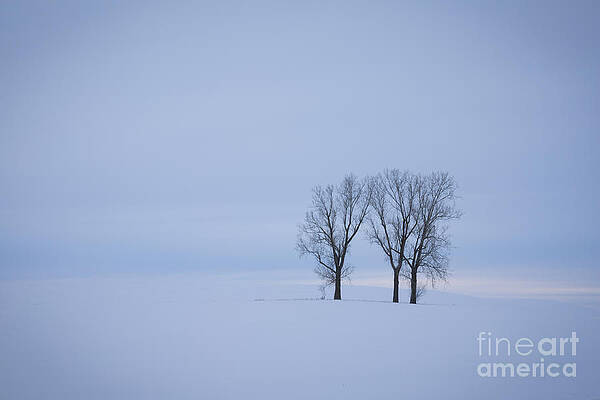  Photograph - Wilderness of White by Idaho Scenic Images Linda Lantzy
