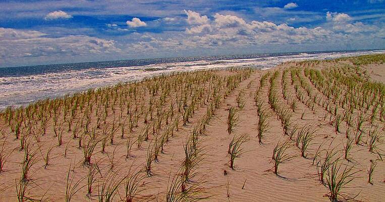 Wildwood Beach Breezes by David Dehner Wildwood Beach Breezes by David Dehner