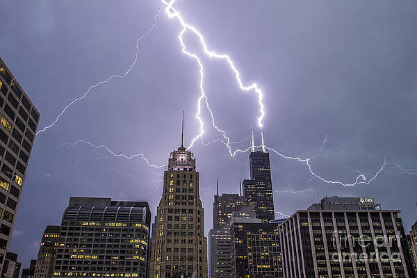  Photograph - Willis Tower Lightning Strike by Steven K Sembach 