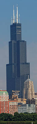 Wall Art - Photograph - Willis Tower Vertical by Jonathan Davison