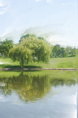 Willow by Christopher Rowlands Willow by Christopher Rowlands