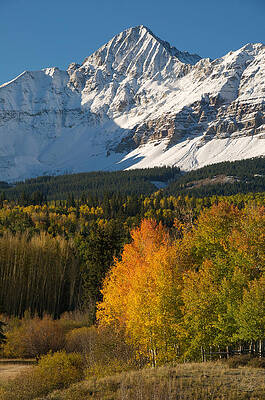 Wall Art - Photograph - Wilson Peak Vertical by Aaron Spong