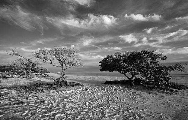 Wind on the Key by Stephen Mack