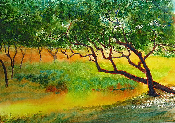 Wind Trees by Peter Senesac Wind Trees by Peter Senesac