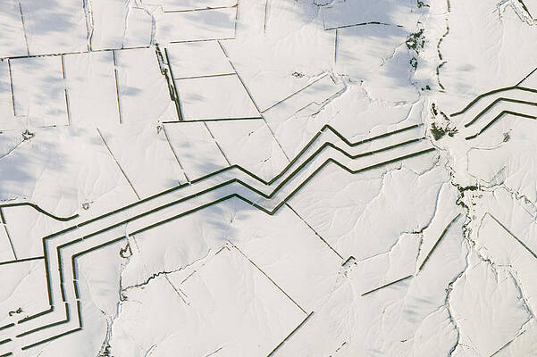 Wall Art - Photograph - Windbreaks In Russia by Science Source