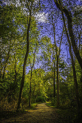 Winding Road by Jeremy Perlman