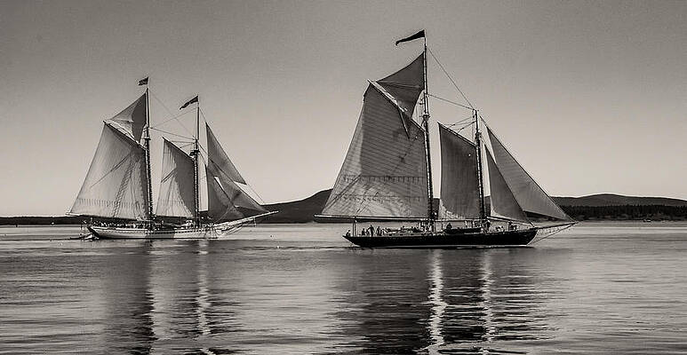 Windjammers No. 1 by Fred LeBlanc Windjammers No. 1 by Fred LeBlanc