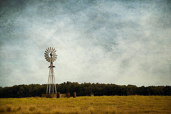 Windmill on the Farm by Beverly Stapleton Windmill on the Farm by Beverly Stapleton