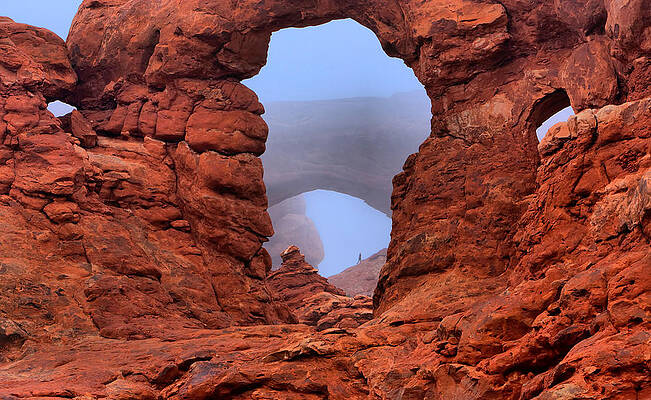 Wall Art - Photograph - Windows by David Andersen