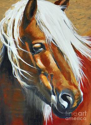 Windy by David Ackerson