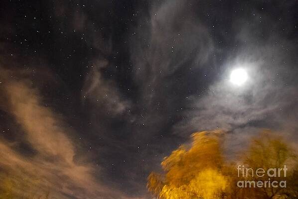 Windy NighT by Angela J Wright Windy NighT by Angela J Wright