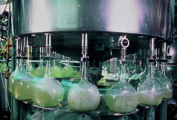 Wall Art - Photograph - Wine-bottling Machine In Vineyard by Science Photo Library