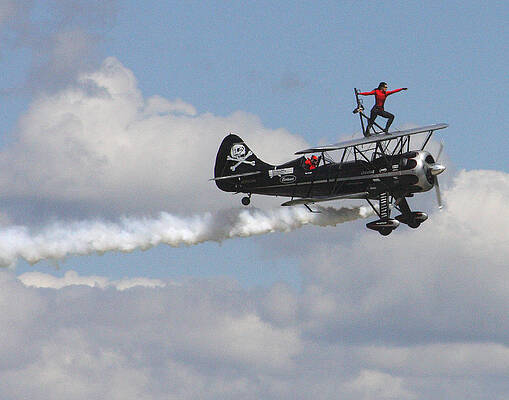 Wingin' It by Dave Boman