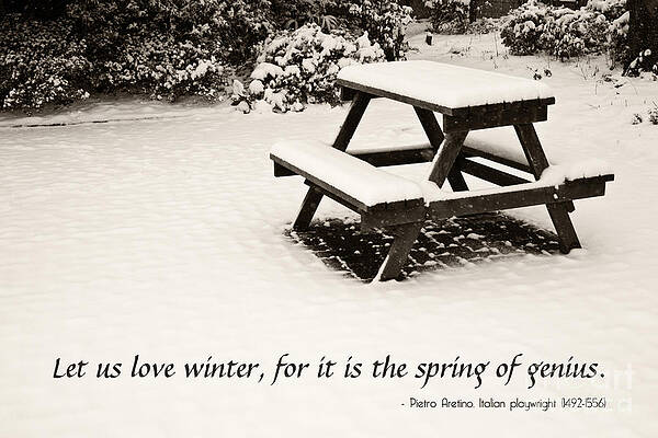 Wall Art - Photograph - Winter at the Park with a Snow-Covered Table by Beverly Claire Kaiya
