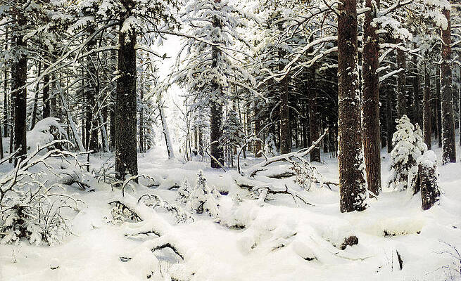 Winter Print by Ivan Shishkin