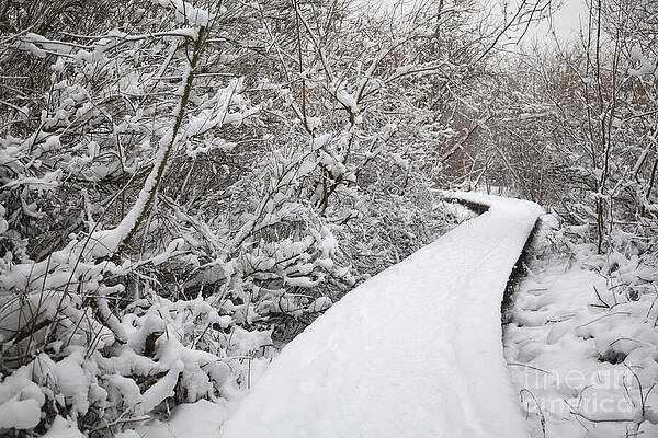 Winter landscape. V10BEL1214 by IMAVIEW Photo and Design Winter landscape. V10BEL1214 by IMAVIEW Photo and Design