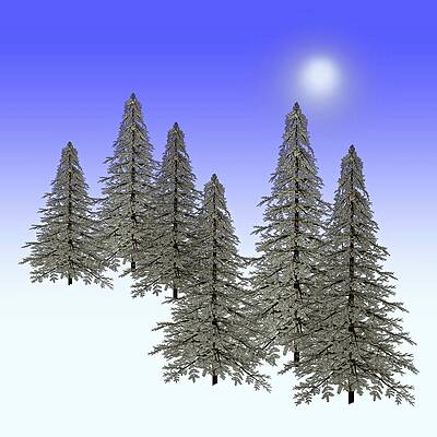 Wall Art - Painting - Winter Pines Ice and Snow by David Dehner