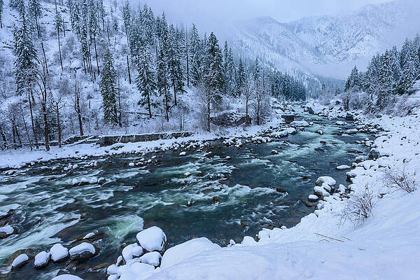 Winter Playground by Dan Mihai Winter Playground by Dan Mihai