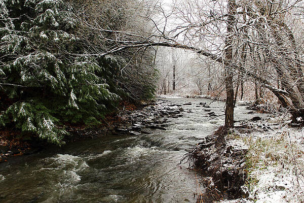 Winter Stream by Christopher Jones