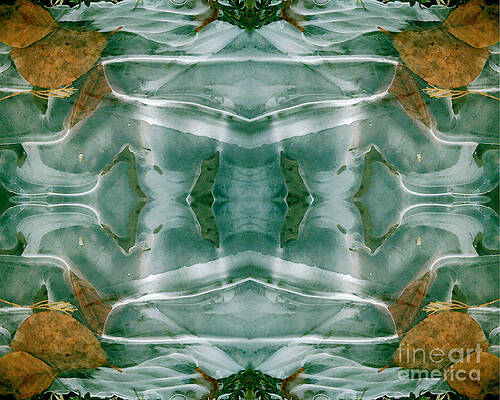 Winter Symmetry by David Hargreaves Winter Symmetry by David Hargreaves