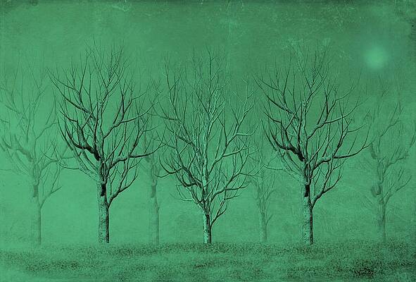 Winter Trees in the Mist by David Dehner Winter Trees in the Mist by David Dehner