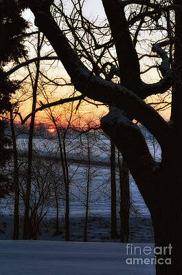 Winter Wake UP by Pamela Baker Winter Wake UP by Pamela Baker